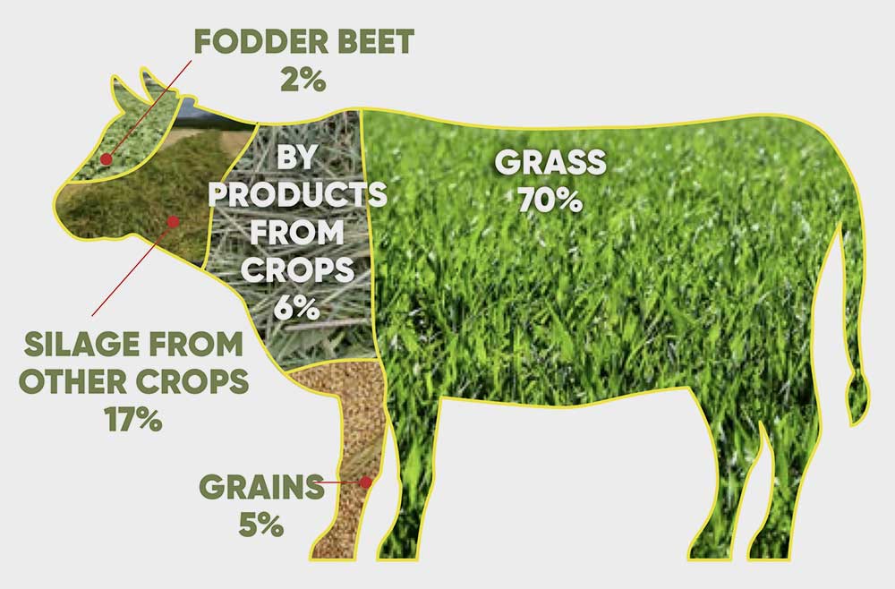 cow-diagram2.jpg