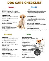 dog-care-checklist.jpeg