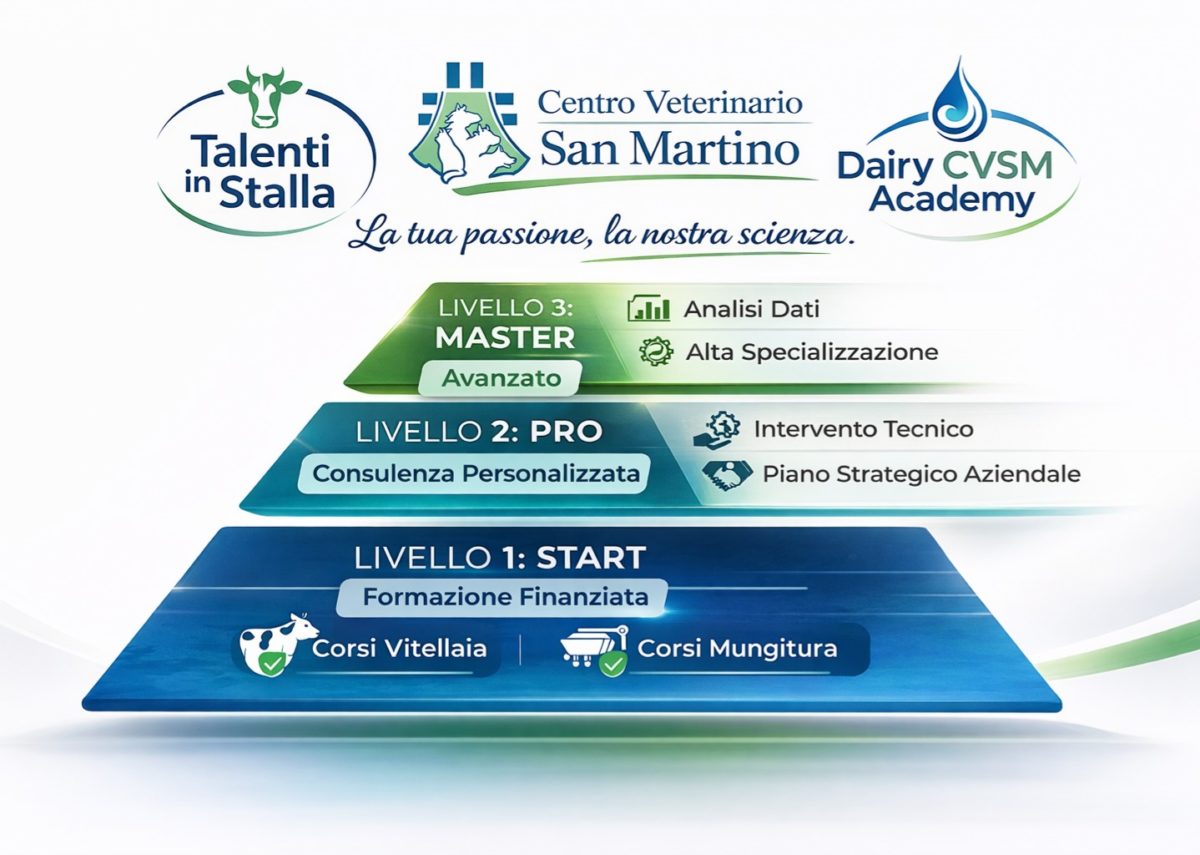 jpg-piramide-formazione-DAIRY-cvsm-academy-1200x855.jpg