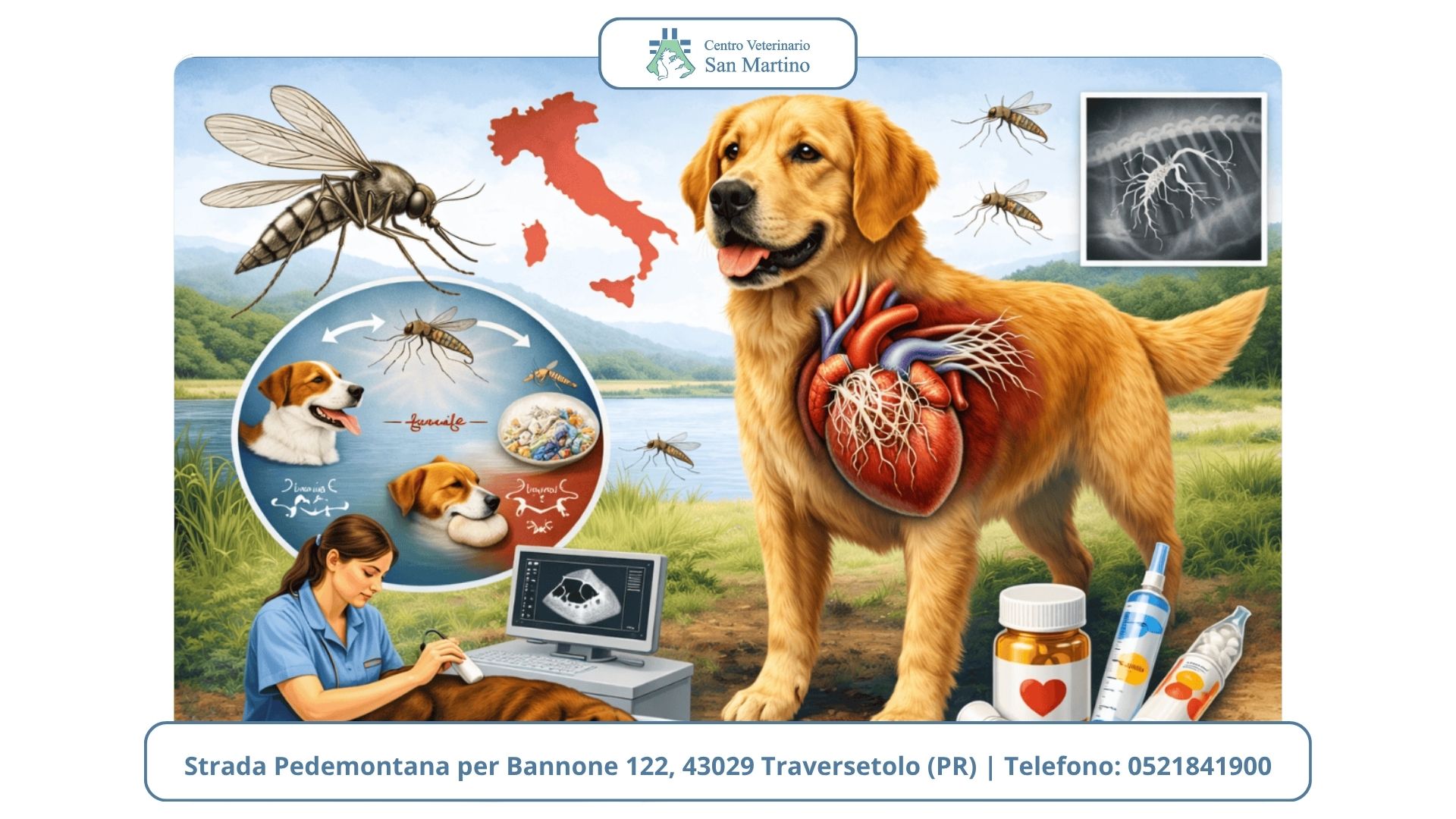 IB-Style Portalegna Per Camino In Acciaio Verniciato - 60x100cm - Robusto E Versatile Per Interni/Esterni - 2