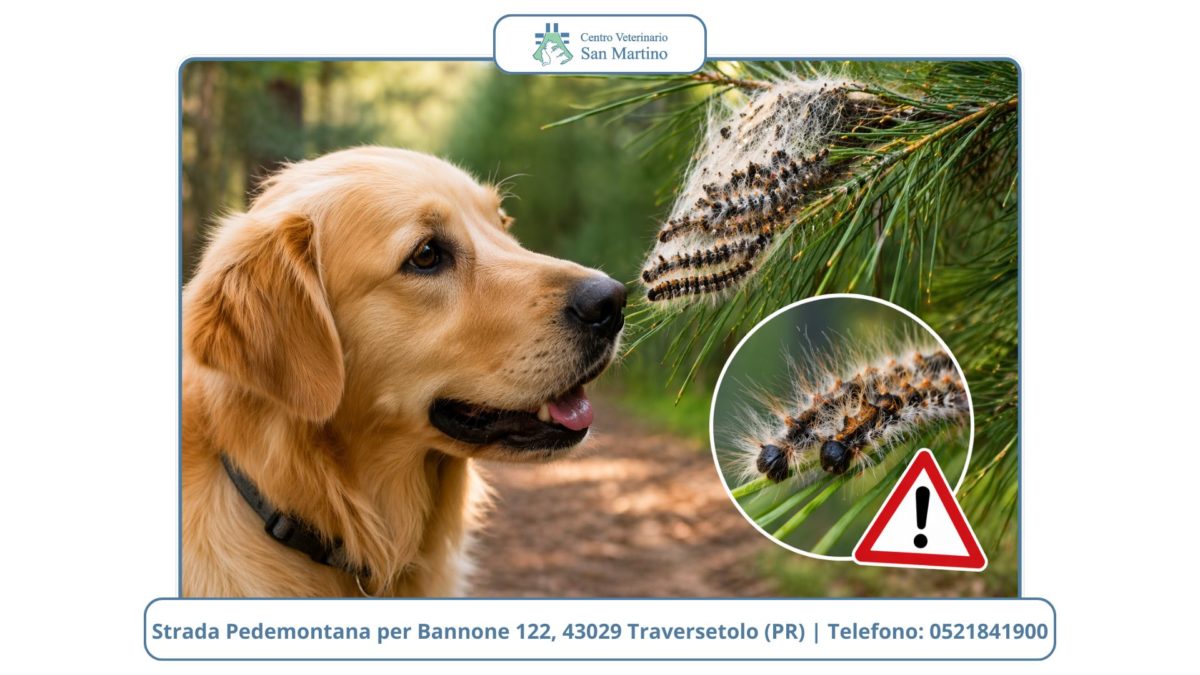 Watermark-foto-Stowed-2-1200x675.jpg