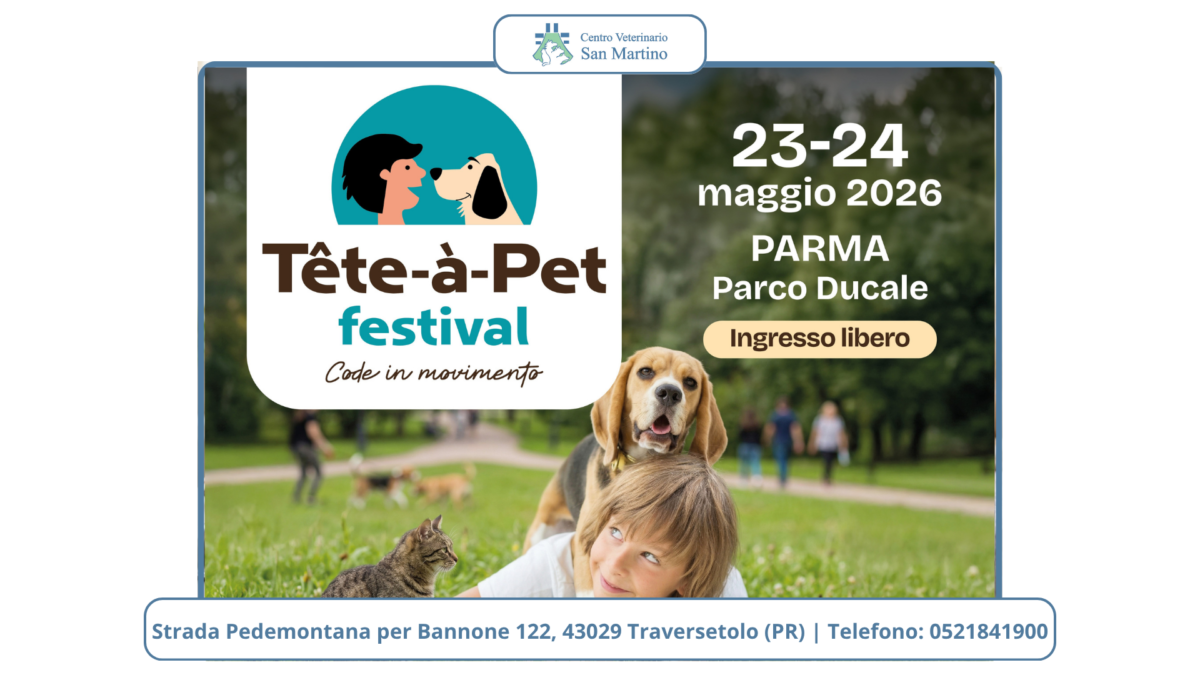 Watermark-foto-Stowed-1200x675.png