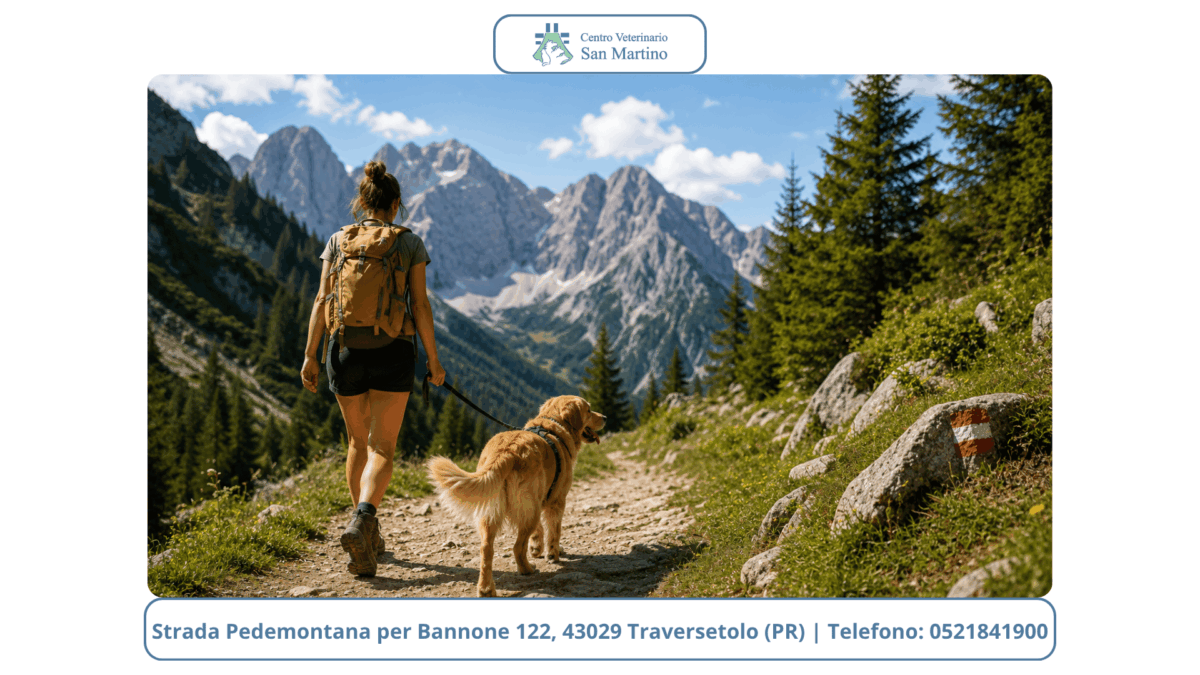 Watermark-foto-Stowed-6-1200x675.png