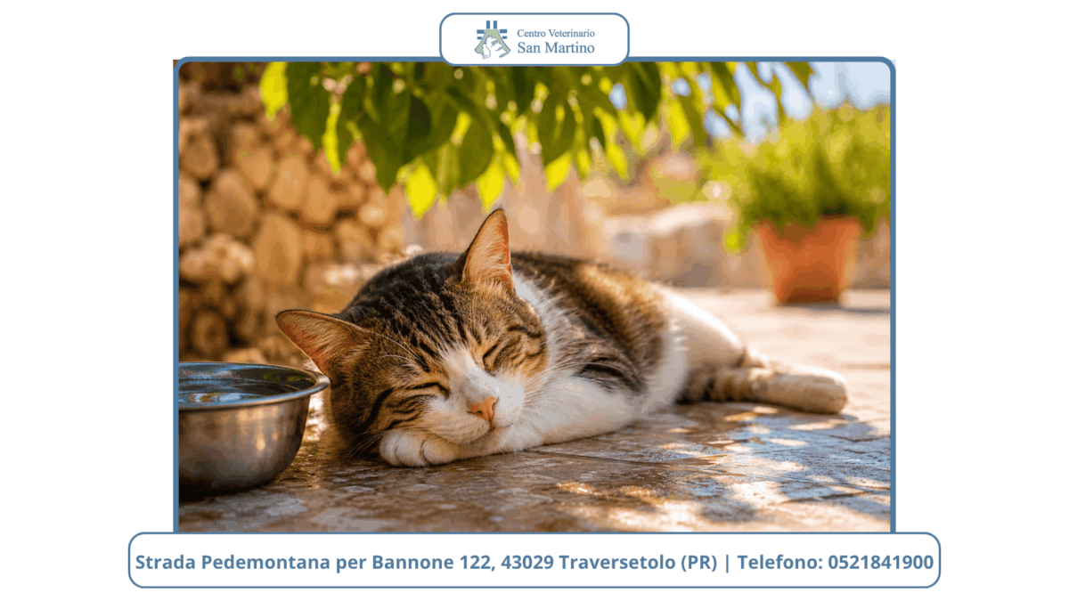 Watermark-foto-Stowed-1-1200x675.png
