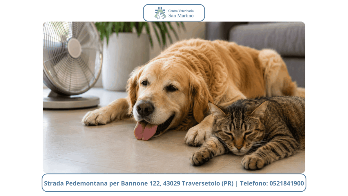 Watermark-foto-Stowed-10-1200x675.png