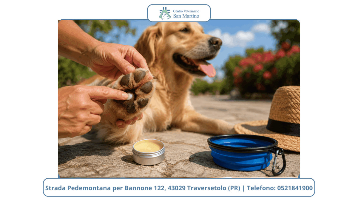 Watermark-foto-Stowed-2-1200x675.png