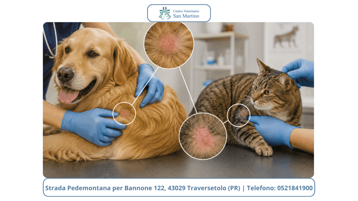 Watermark-foto-Stowed-4-1200x675.png