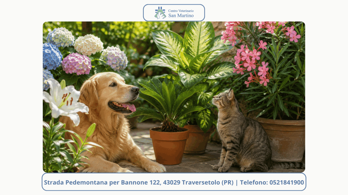 Watermark-foto-Stowed-7-1200x675.png