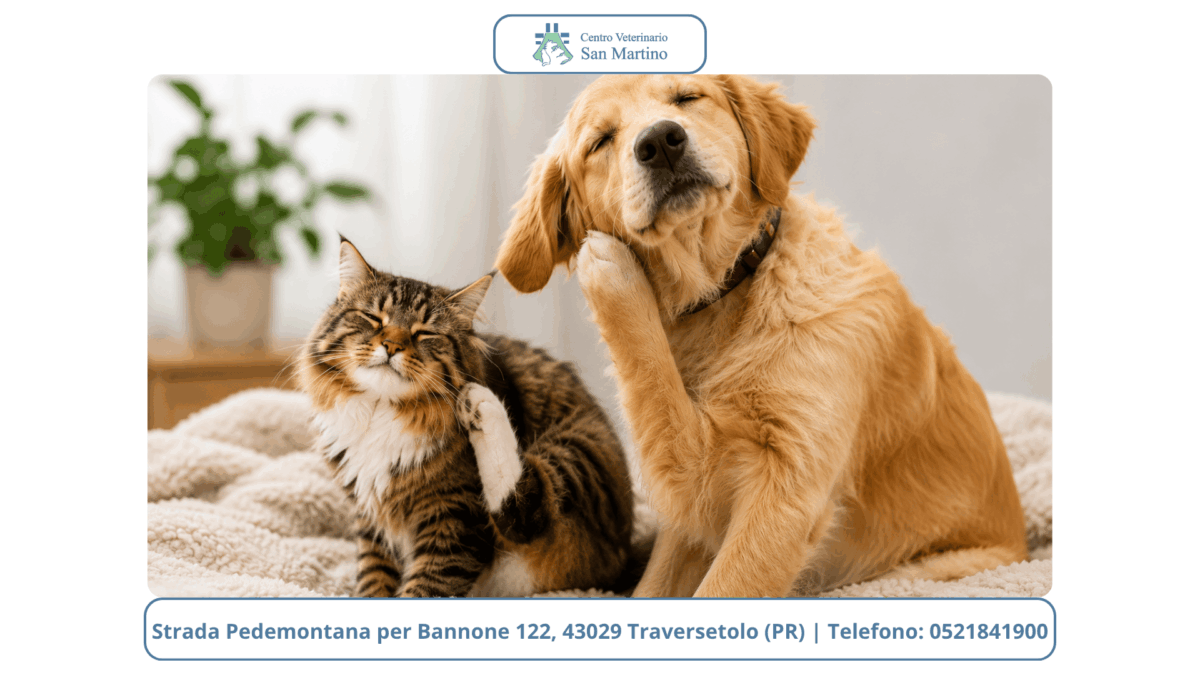 IMMAGINI-BLOG-CVSM-CON-BANNER-1200x675.png