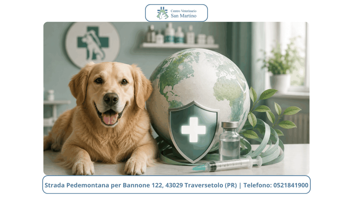 Watermark-foto-Stowed-11-1200x675.png
