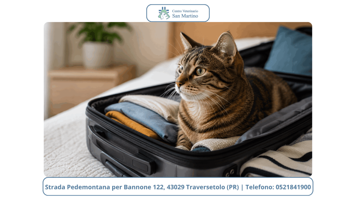 Watermark-foto-Stowed-8-1200x675.png
