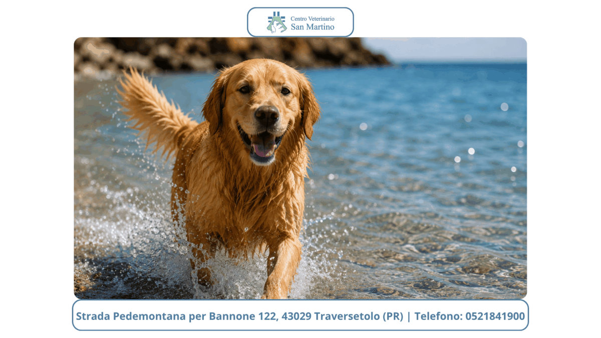 Watermark-foto-Stowed-9-1200x675.png
