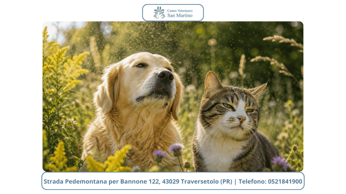 IMMAGINI-BLOG-CVSM-CON-BANNER-3-1200x675.png