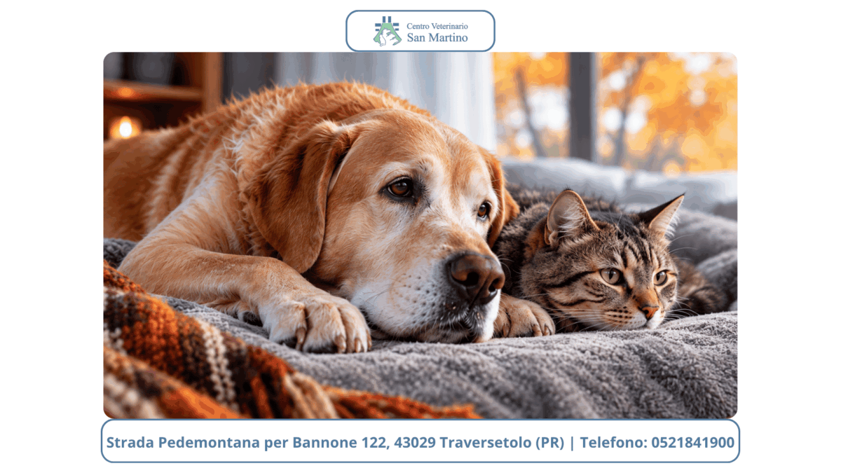 IMMAGINI-BLOG-CVSM-CON-BANNER-6-1200x675.png